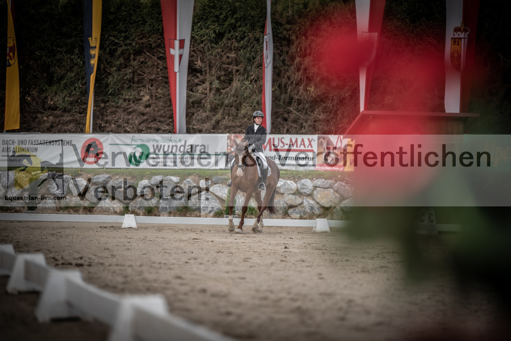 DSC_3069 | equestrian-live-com
