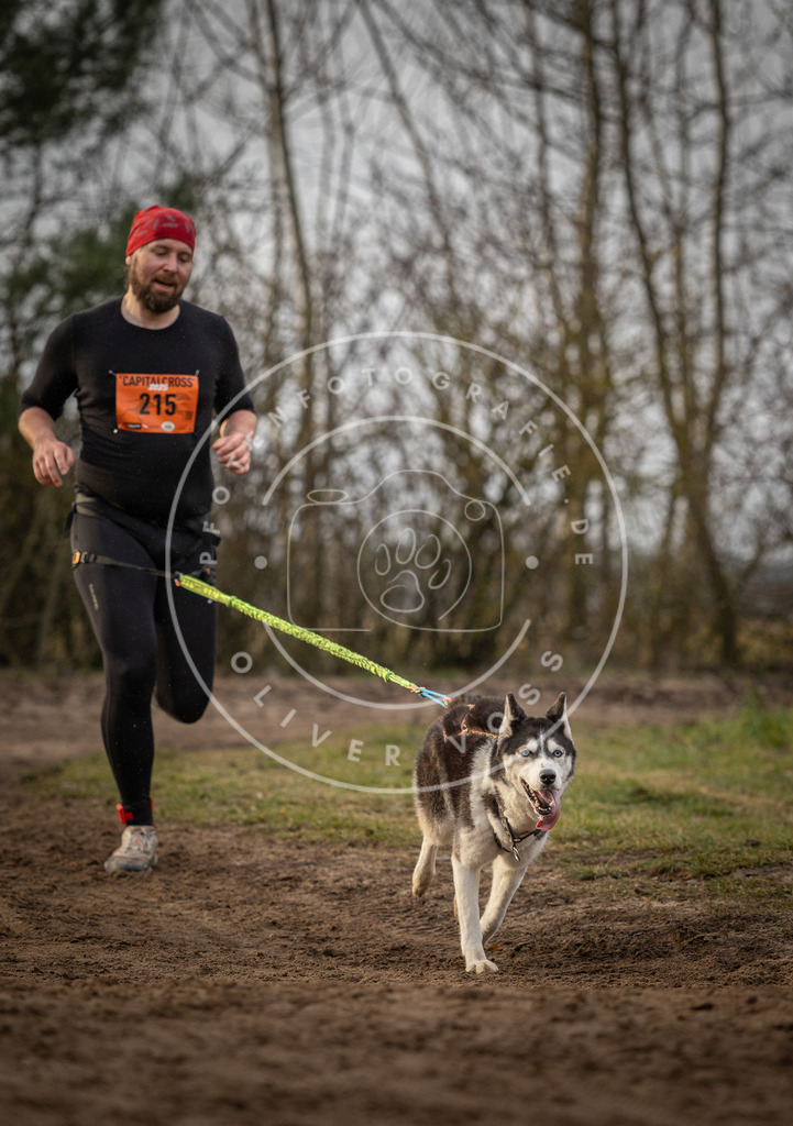 Pfotenfotografie_DV3A1108 | Hundefotografie, Tierfotograf, Pfotenfotografie, Fotoshooting Hund, Hunde Portrait, Hundesport, Hundeportraits, Heideshooting, Hunde, Sportfotograf, Hundefotograf, Turnierhundsport, THS,  - Realisiert mit Pictrs.com