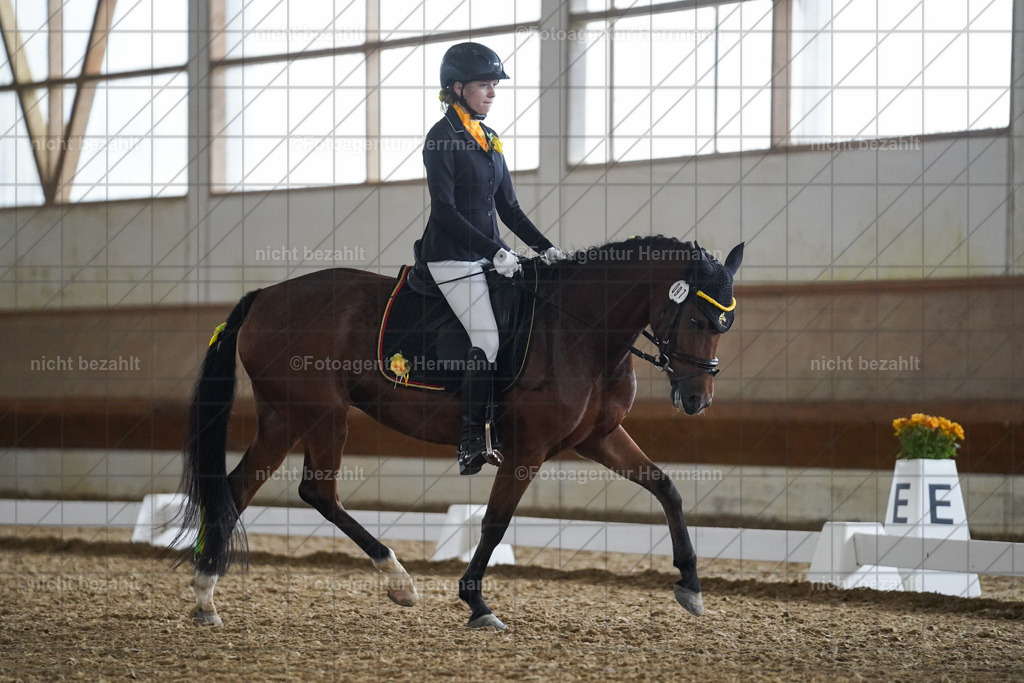 20240825-FAH09666 | Turnierbilder, Reitsportfotos, LAPO, Landesponyturnier, Turnierfotografen Bayern
