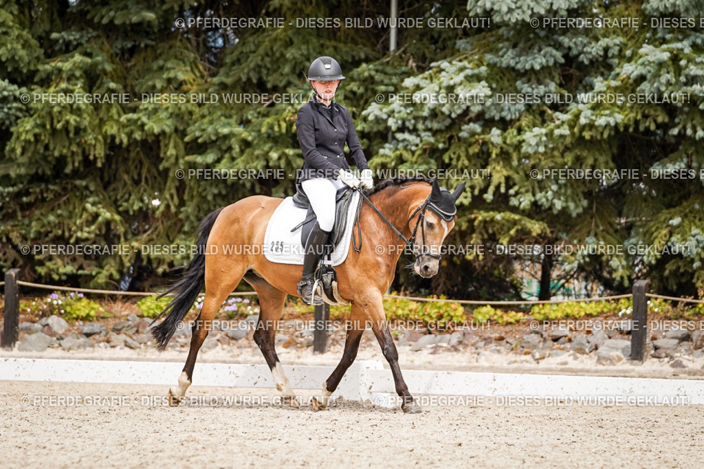 DSC04370 | Pferdegrafie