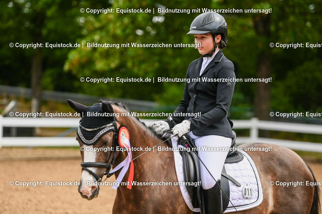 20230716_10-1_Reiter-WB Schritt - Trab - Galopp_0252 | equistock