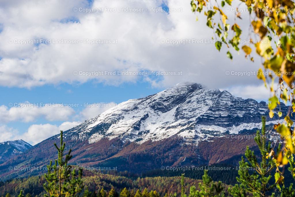 Otscher  (20) | Fotos und Fotoprodukte - Realisiert mit Pictrs.com