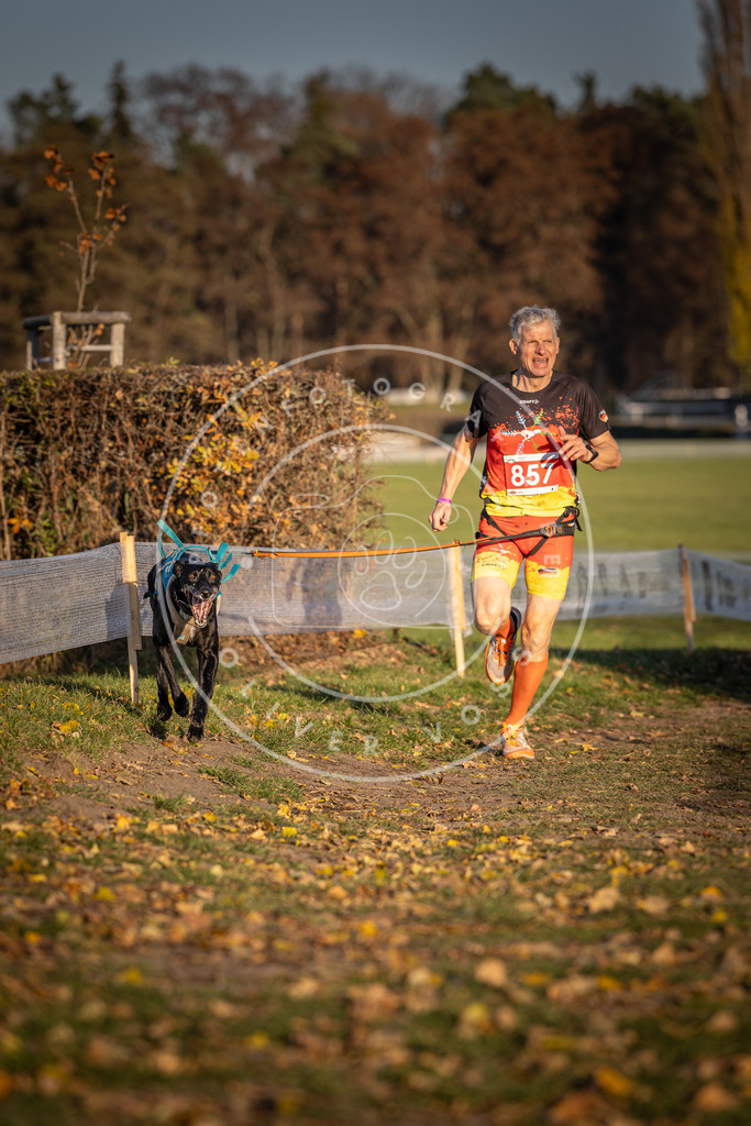 CaniXpix_DV3A3977 | Hundefotografie, Tierfotograf, Pfotenfotografie, Fotoshooting Hund, Hunde Portrait, Hundesport, Hundeportraits, Heideshooting, Hunde, Sportfotograf, Hundefotograf, Turnierhundsport, THS,  - Realisiert mit Pictrs.com