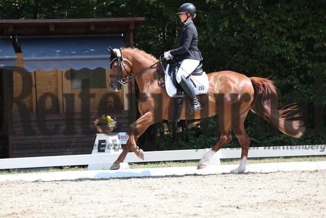 Ichenheim_2026_BW_Meisterschaften_Prfg.Nr.28_2.WP_Ponyreiter_Carlotta Stölzle (13) | Alle Fotos der Reiterjournal Fotografin Doris Matthaes im Reiterjournal Online-Fotoshop. - Realisiert mit Pictrs.com