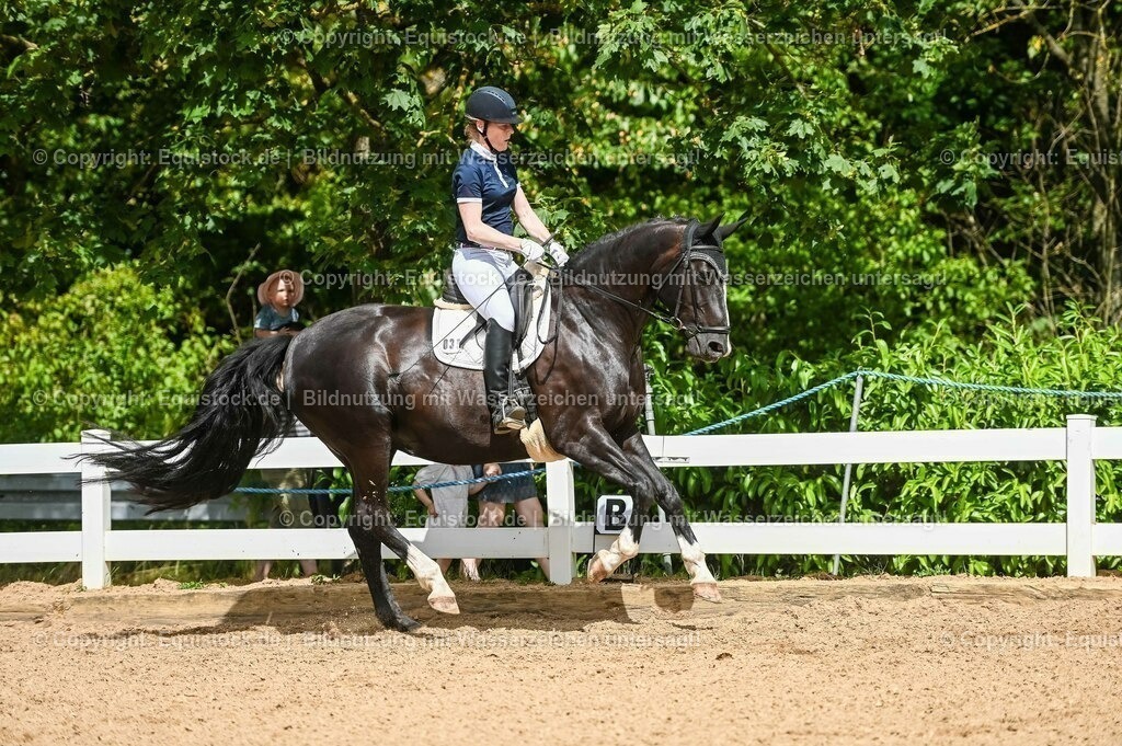 20230715_02_Dressurreiterprüfung Kl.L_0363 | equistock