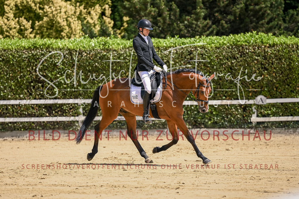 Schugtsche-Aluta25-48.Reitpferfdeprf.-241 | Schugtsche Fotografie - Realisiert mit Pictrs.com