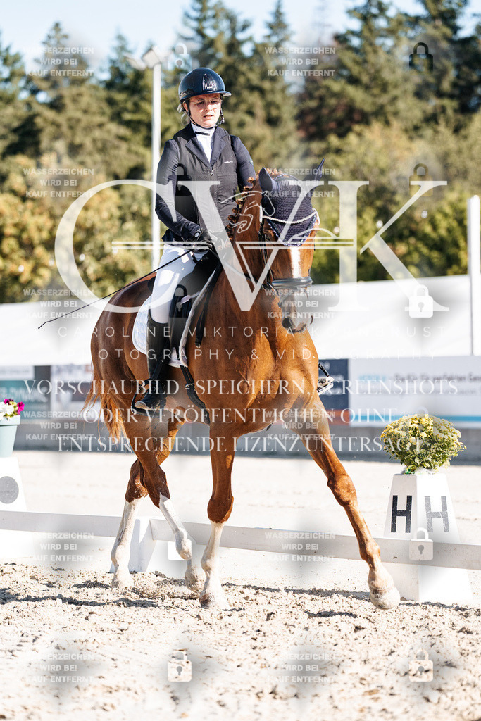 CK907747 | Turnierfotografie Pferdefotografie Trier Rheinland-Pfalz Pferdesport Reitsport Tierfotografie Sportfotografie Pferdevideo Pferdevideografie Equestrianvideography equestrianphotography  - Realisiert mit Pictrs.com