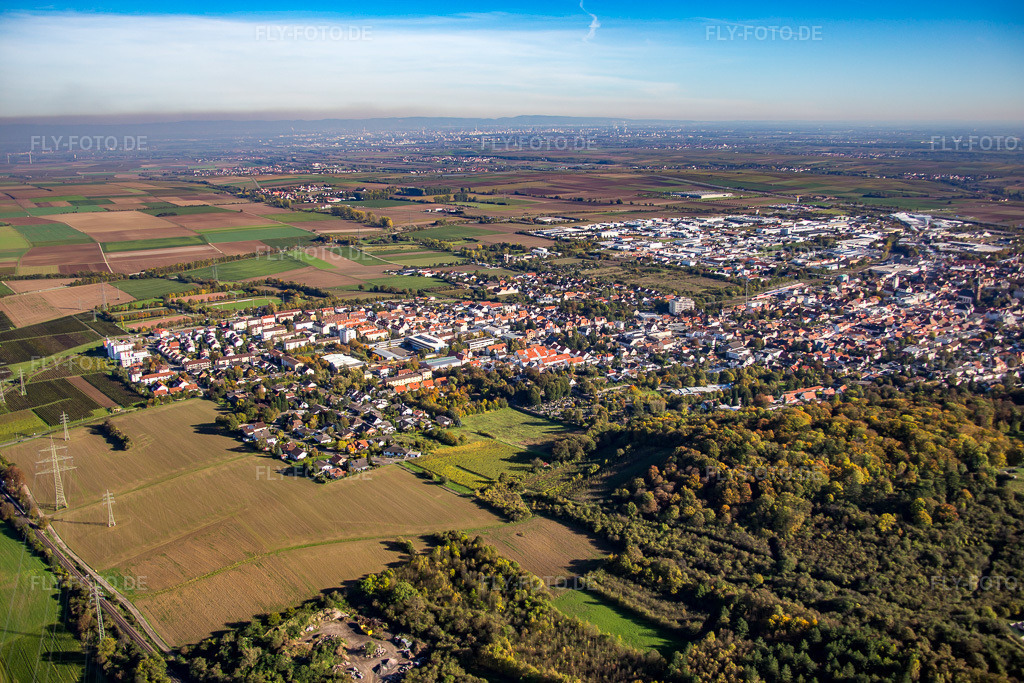Luftbild: Ortsansicht von Nordwesten in Grünstadt im Bundesland Rheinland-Pfalz in Deutschland. Foto: IMG_074833.jpg vom 18.10.2014 durch Werner Riehm/FLY-FOTO.de