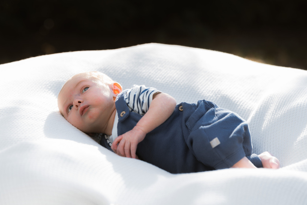 ZD260823180057 | Fotoshop von zweidimensional Fotografie. Ihr Fotograf im Aargau. Abzüge von Ihrem Fotobox Event bestellen.Abzüge von Ihrem Hochzeit bestellen.Abzüge von Ihrem Schulfotograf bestellen.