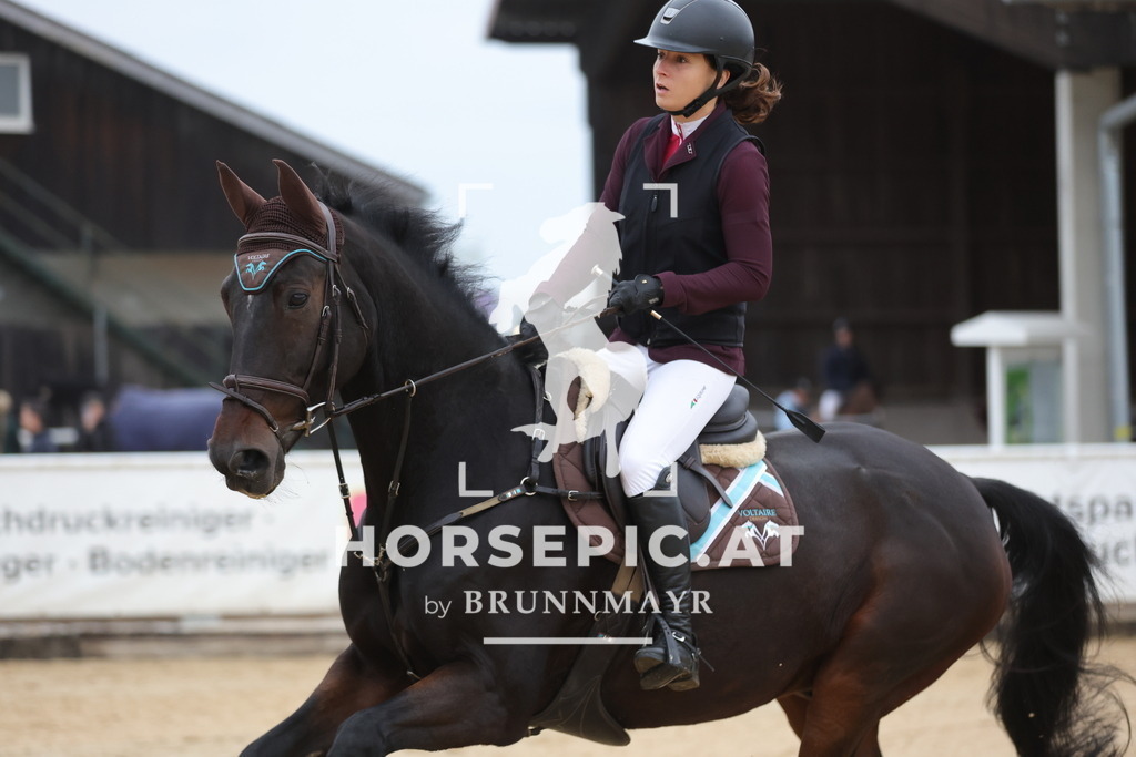 0P6A5968 | Willkommen bei Brunnmayr - Design & Fotografie – Ihrem Spezialisten für Reitturniere und Pferdeveranstaltungen in Oberösterreich, Salzburg und Bayern! Seit über 17 Jahren sind wir leidenschaftlich dabei.