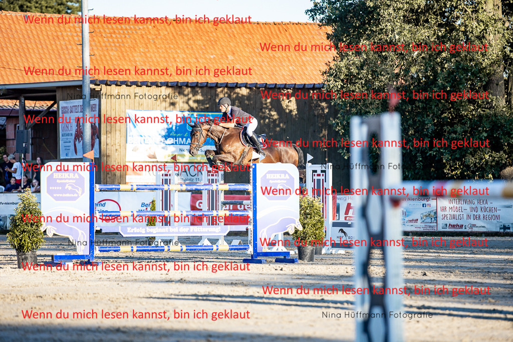 BK1A8546 | Turnierbilder Turnierfotos Nina Hüffmann Turnierfotografie Pferdefotografie Tierzeichnung Haustierzeichnung Pferdezeichnung Hundezeichnung Videograf  - Realisiert mit Pictrs.com