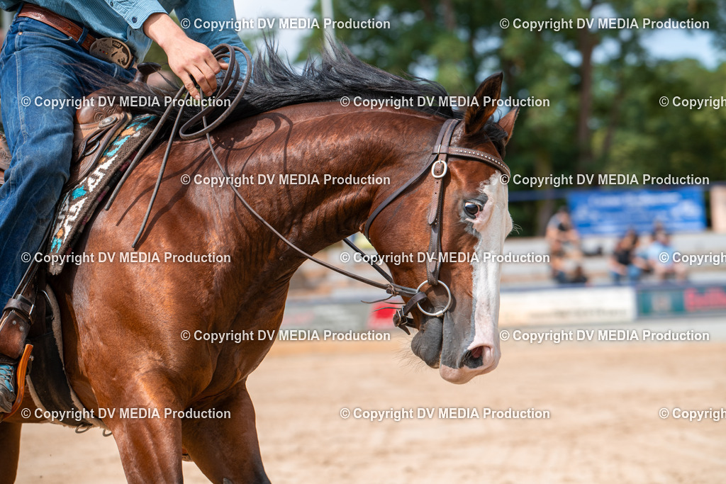 ZS3_9512 | dv-media-shop - Realisiert mit Pictrs.com