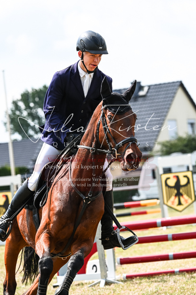 DSC_8949 | Pferde- und Turnierfotografie in Westsachsen. Pferdeportraits, Auftragszeichnungen und intuitive Kunst.