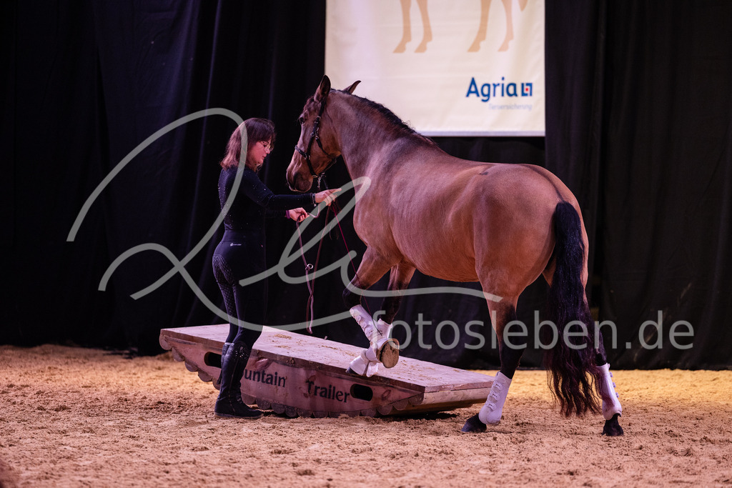 846A6779 | fotosleben - Realisiert mit Pictrs.com