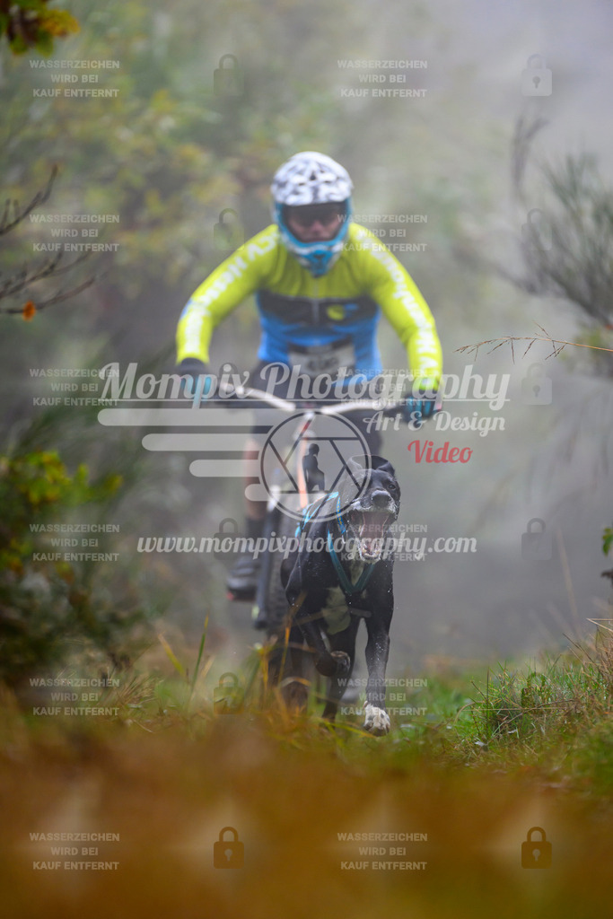 MompixPhotography_20TSB_E4_Bike-92 | PayLife