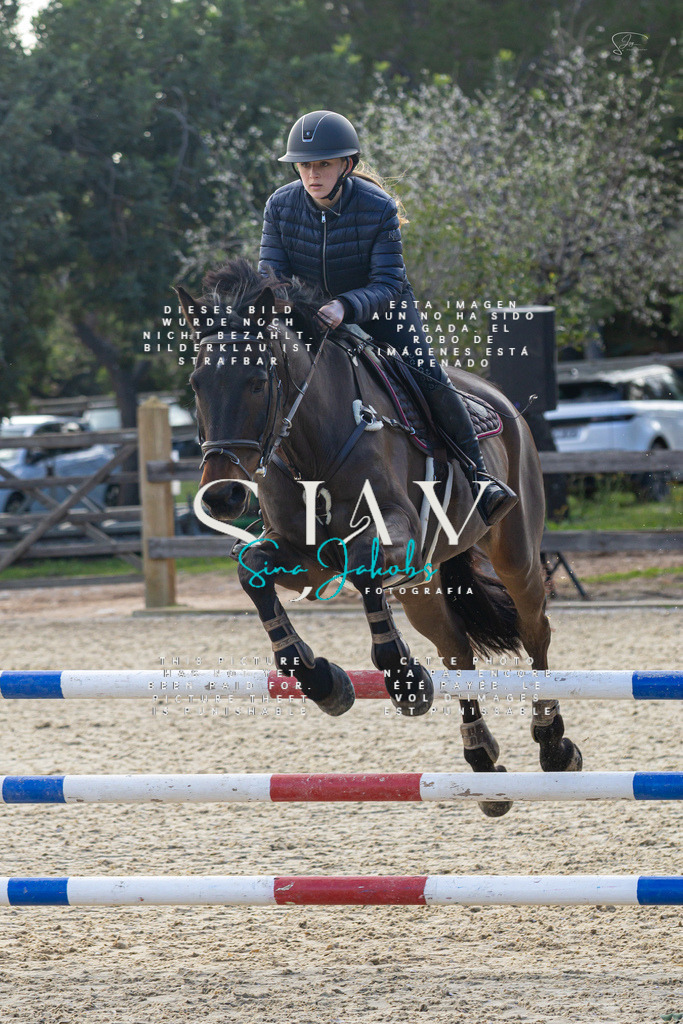 IMG_5072 | s-jay-photography - Realisiert mit Pictrs.com