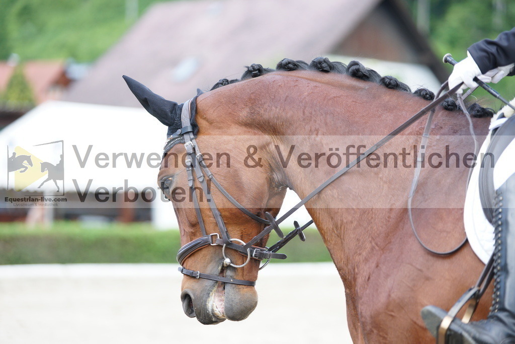 DSC05075 | equestrian-live-com