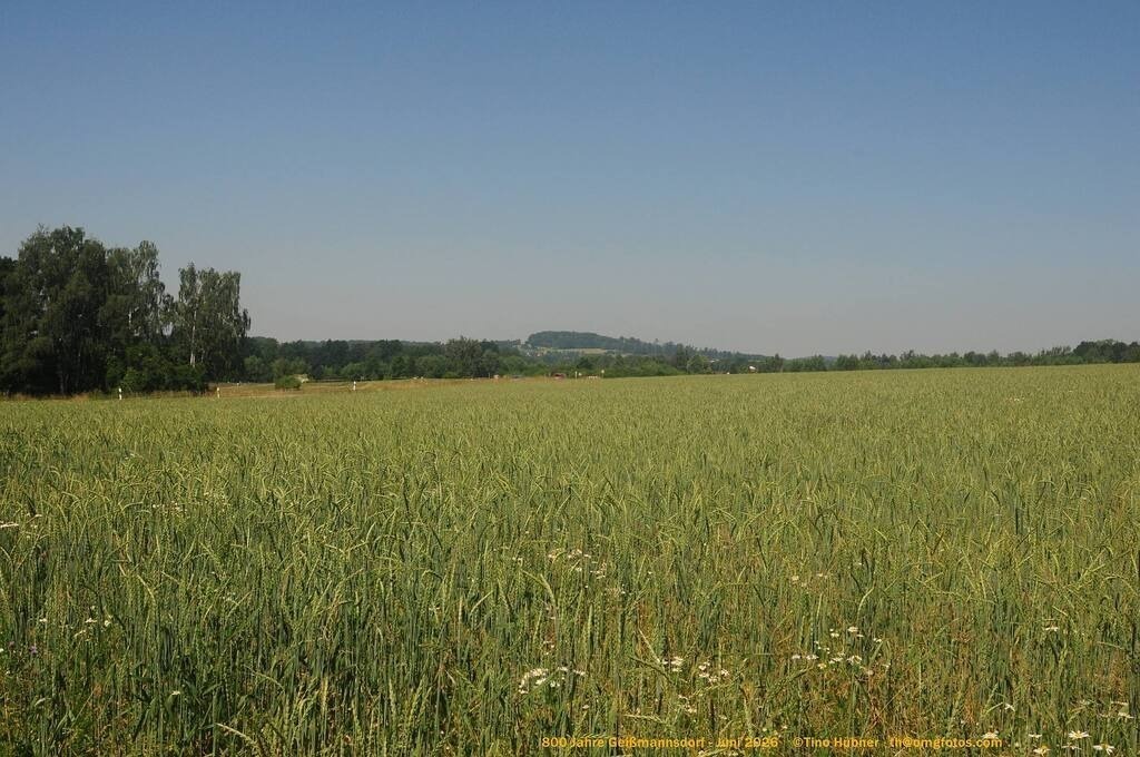 Geißmannsdorf-2026-Ortsbilder-164 | Geißmannsdorf bei Bischofswerda im Sommer 2026. Ein fotografischer Streifzug durch das Dorf Geißmannsdorf, mit Gebäuden, Straßen, Strohpuppen und geschmückten Vorgärten und Grundstücken anlässlich der 800-Jahr-Feier von Geißmannsdorf im Juni 2026 - Realisiert mit Pictrs.com