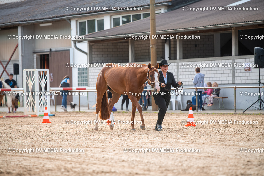 EWP_5547 | dv-media-shop - Realisiert mit Pictrs.com