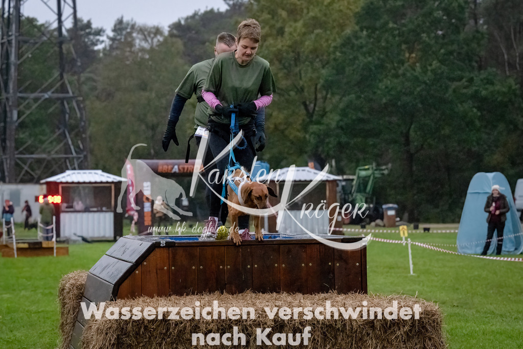 0818-_ZZ90926-Bearbeitet-Bearbeitet | kk-dogfotos