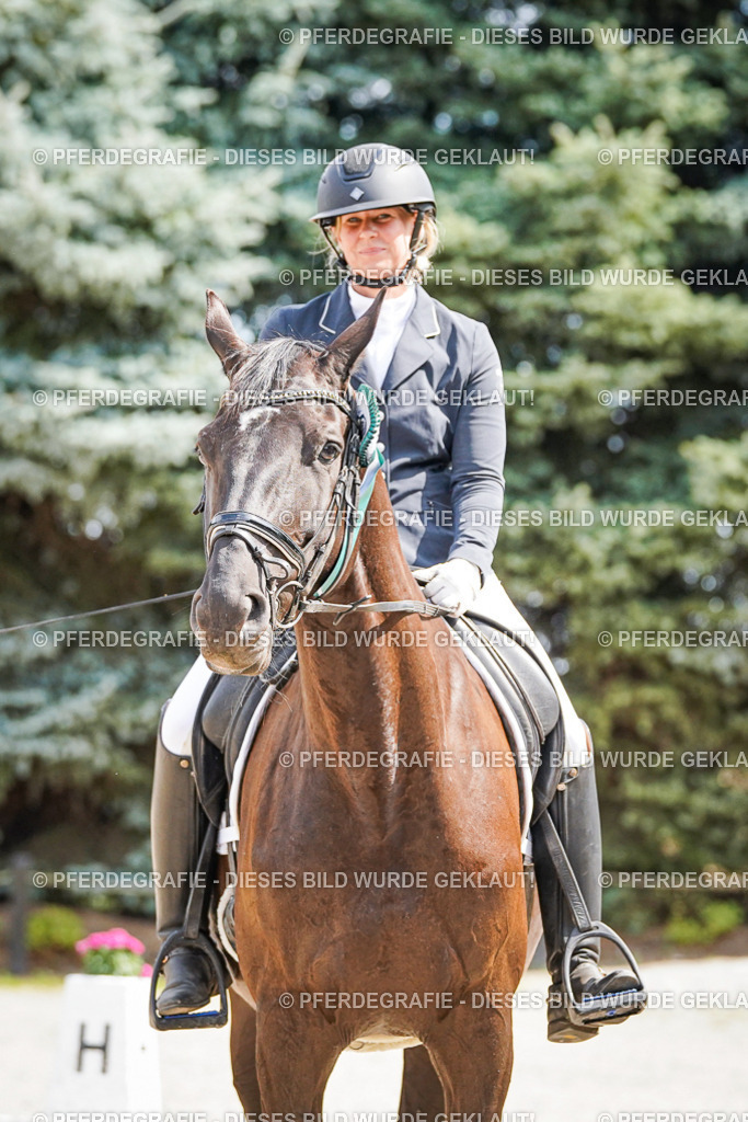 DSC02308 | Pferdegrafie