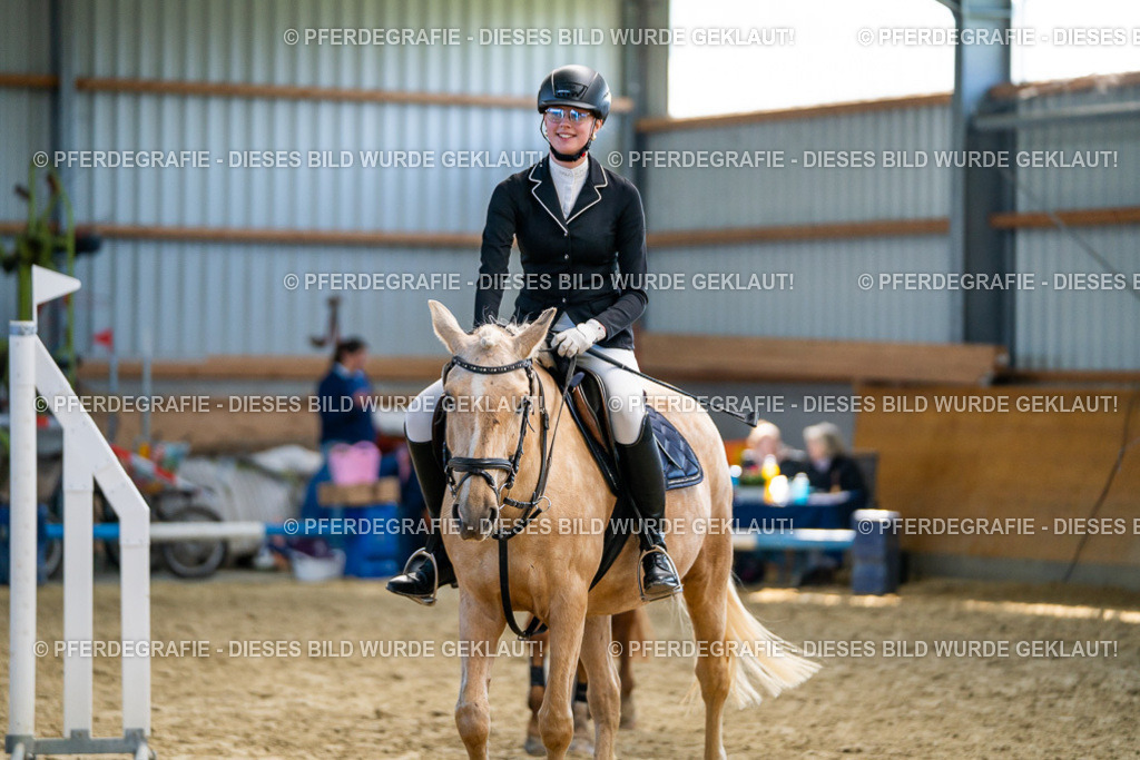 DSC01884 | Pferdegrafie