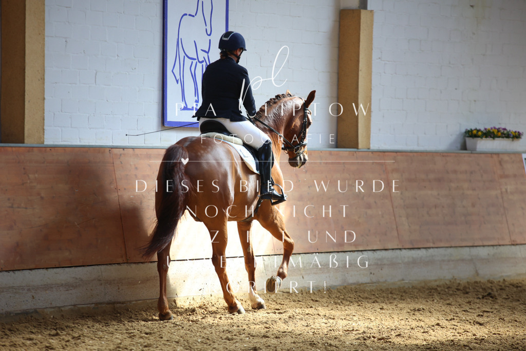 IMGT7112 | pl-fotografie