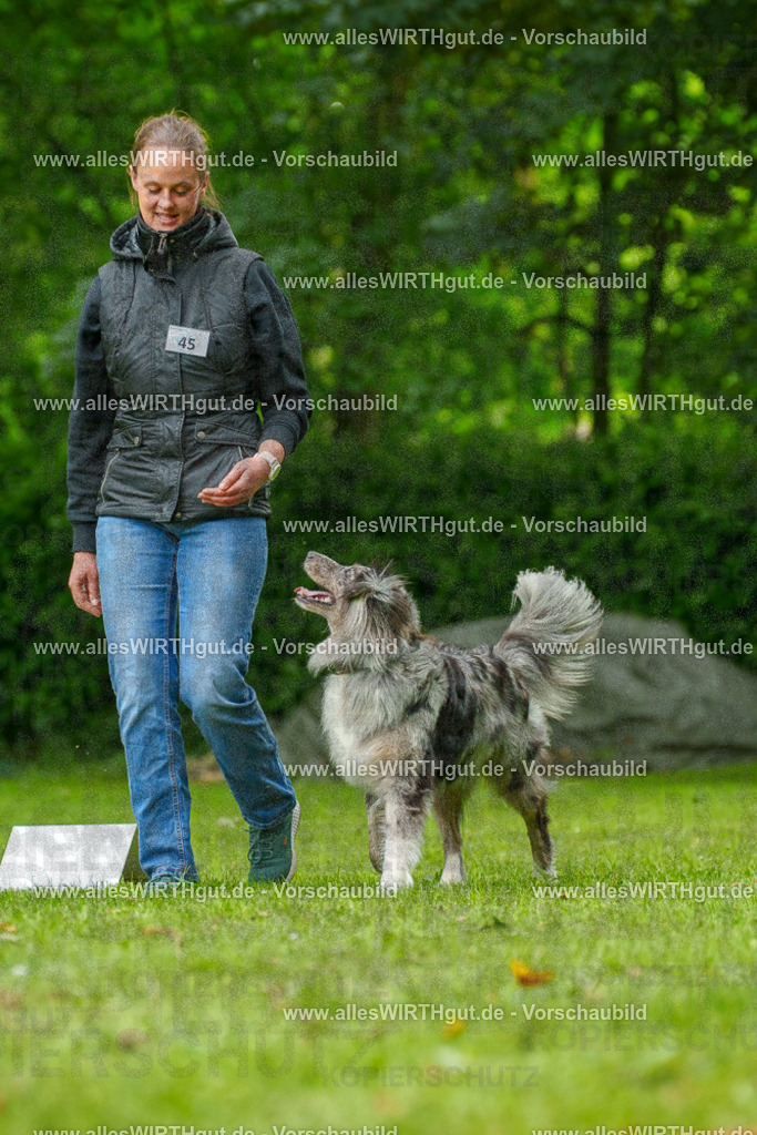 @allesWIRTHgut_Tierfotografie - www.allesWIRTHgut.de - 7R500255 | Professionelle Tierfotografie in Mönchengladbach von Daniel Wirth (allesWIRTHgut). Liebevolle & natürliche Bilder von Hunden & Katzen für unvergessliche Erinnerungen.