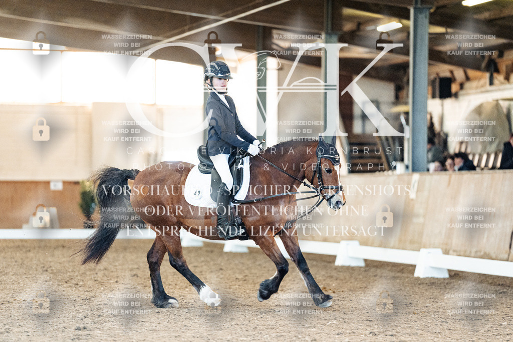 CK907892 | Turnierfotografie Pferdefotografie Trier Rheinland-Pfalz Pferdesport Reitsport Tierfotografie Sportfotografie Pferdevideo Pferdevideografie Equestrianvideography equestrianphotography  - Realized with Pictrs.com