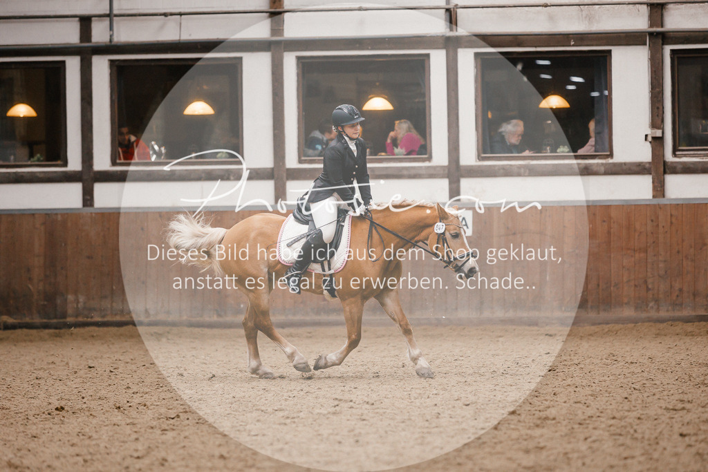 3I6A7884 | Stimmungsvolle Portraits und Reitsportfotografie im Ruhrgebiet und im Münsterland.

Pferdefotografie, Hundefotografie, Tierfotografie, Reportagen, Portraits von Tier und Mensch, Turnierfotografie in Bochum, Recklinghausen, Marl, Haltern am See, Dülmen.. - Realisiert mit Pictrs.com