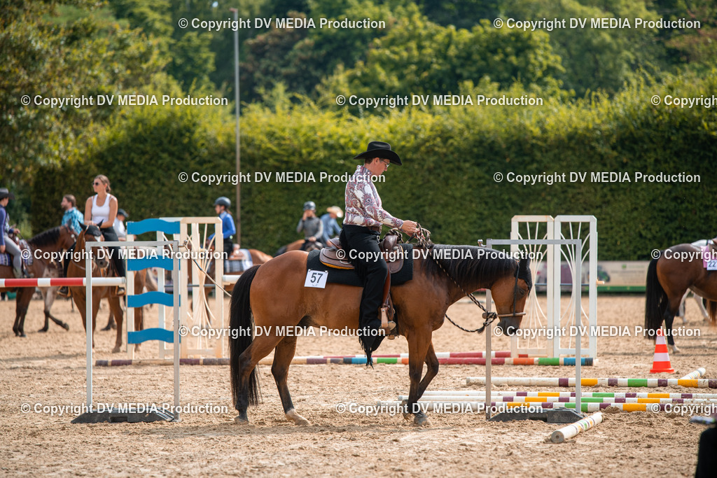 ZS2_7701 | dv-media-shop - Realisiert mit Pictrs.com