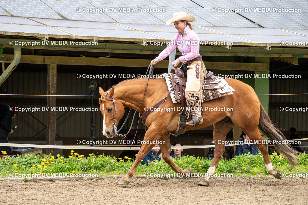 BAL00708 | dv-media-shop - Realisiert mit Pictrs.com