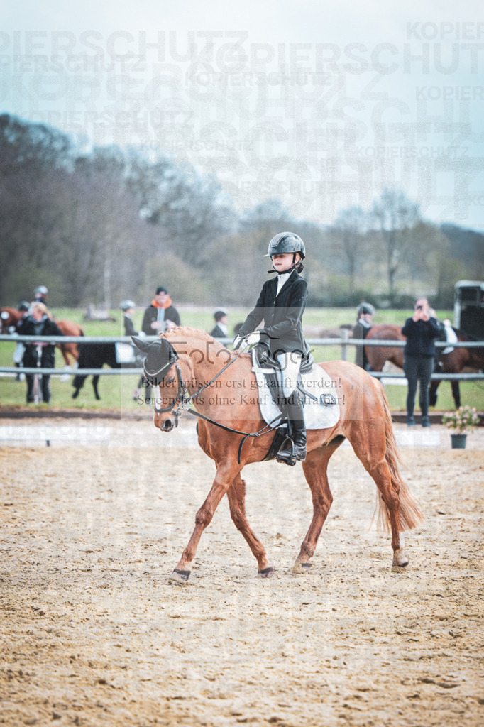 DOS_8236 | Entdecke hochwertige Reitturnierfotos von Foto Oger. Professionell, emotional und authentisch – jetzt Lieblingsmomente im Shop bestellen.Deutschlandweite Turnierfotografie. - Realisiert mit Pictrs.com