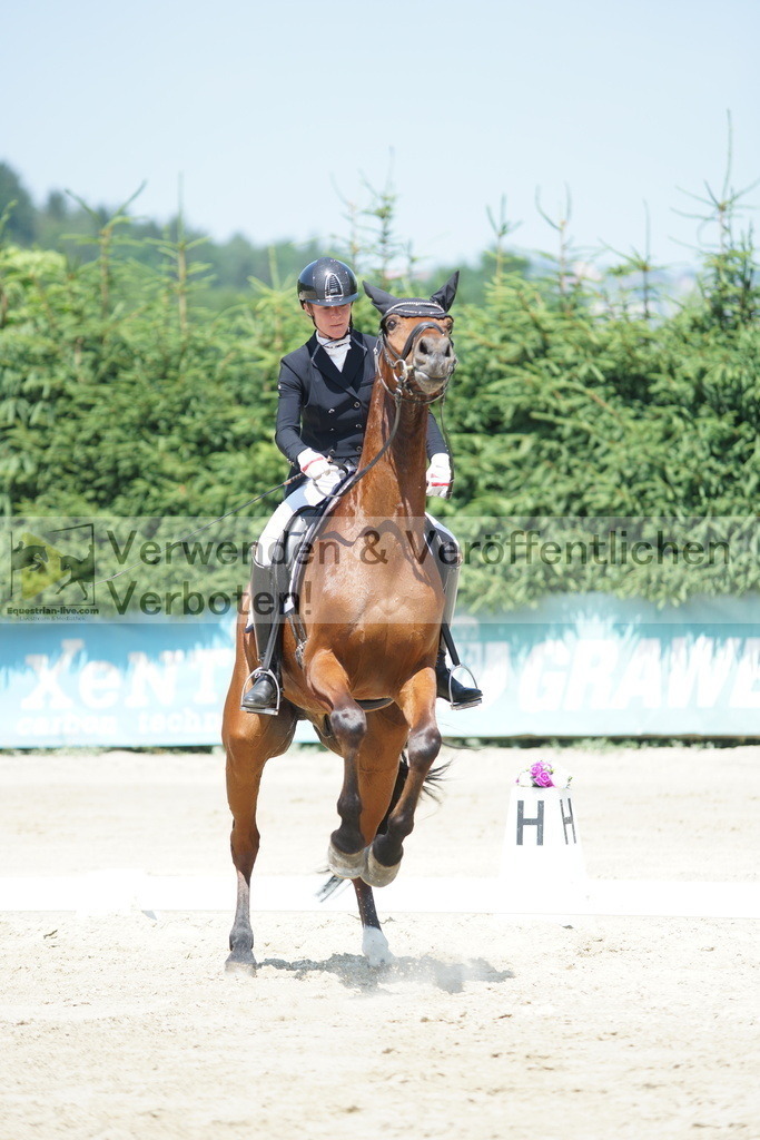 DSC01720 | equestrian-live-com