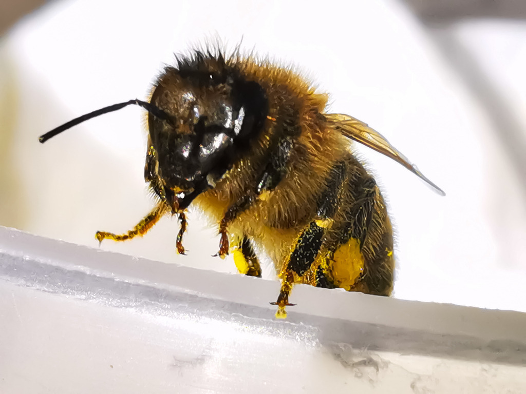 PSX_20230406_234651 | mtkfoto_ - Realisiert mit Pictrs.com