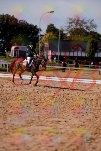 2026_10_03_Siefer-Hof_125735_Z81_46096750 | Professionelle Reitsport-, Turnier- und Eventfotografie von Robert Broda. Galerien mit ausgewählten und bearbeiteten Bildern direkt online ansehen und bestellen.