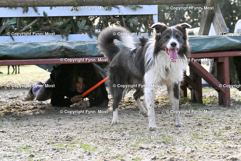 DSC_3339 | Hallo und herzlich Willkommen auf meiner Shop-Seite Fynn Most.

Ich wünsche Dir viel Spaß beim stöbern durch die Bilder, wenn Du Fragen hast oder Bilder vermisst, kannst du mir gerne eine Nachricht schreiben. - Realisiert mit Pictrs.com