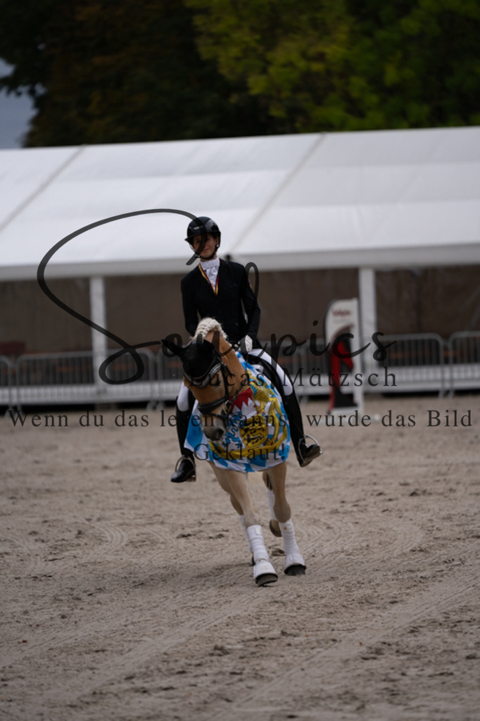 A7V01252 | Turnier/Reitfotograf