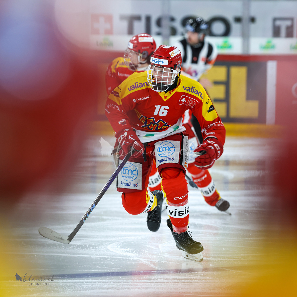 EHC Biel-Bienne vs SC Bern - 22. December 2024 | EHC Biel-Bienne vs SC BernTissot Arena, Biel-BienneBild: Waltraud Blaurock | Blaurock Pix