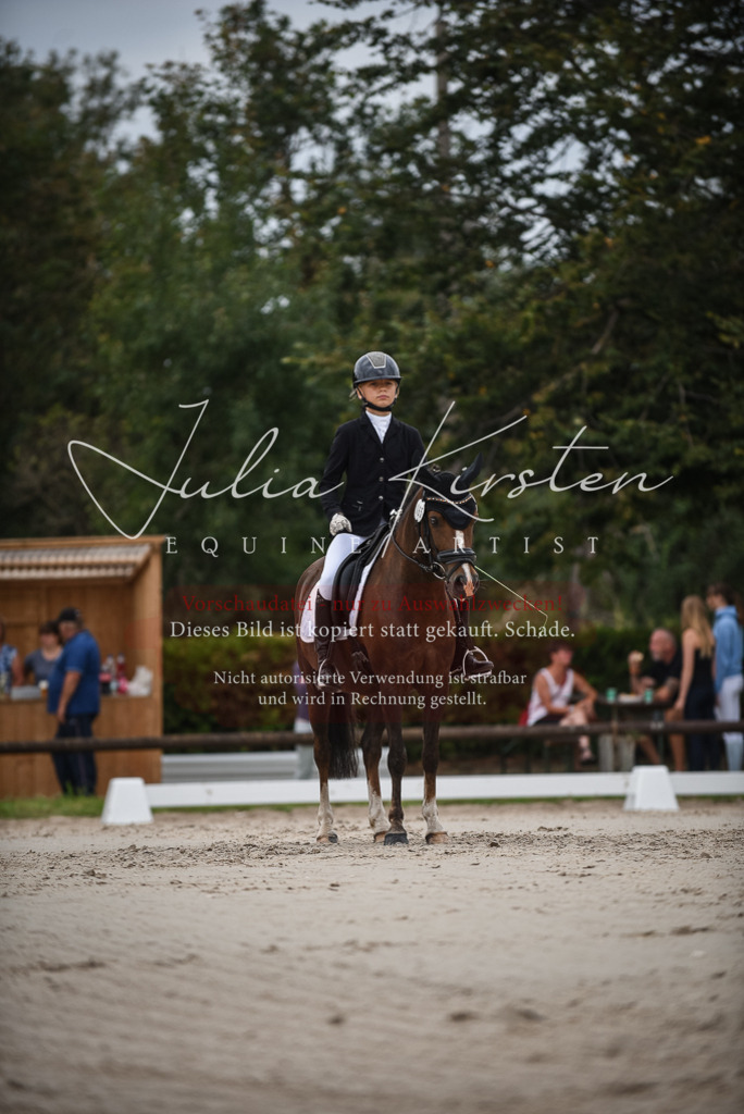 DSC_8114 | Pferde- und Turnierfotografie in Westsachsen. Pferdeportraits, Auftragszeichnungen und intuitive Kunst.
