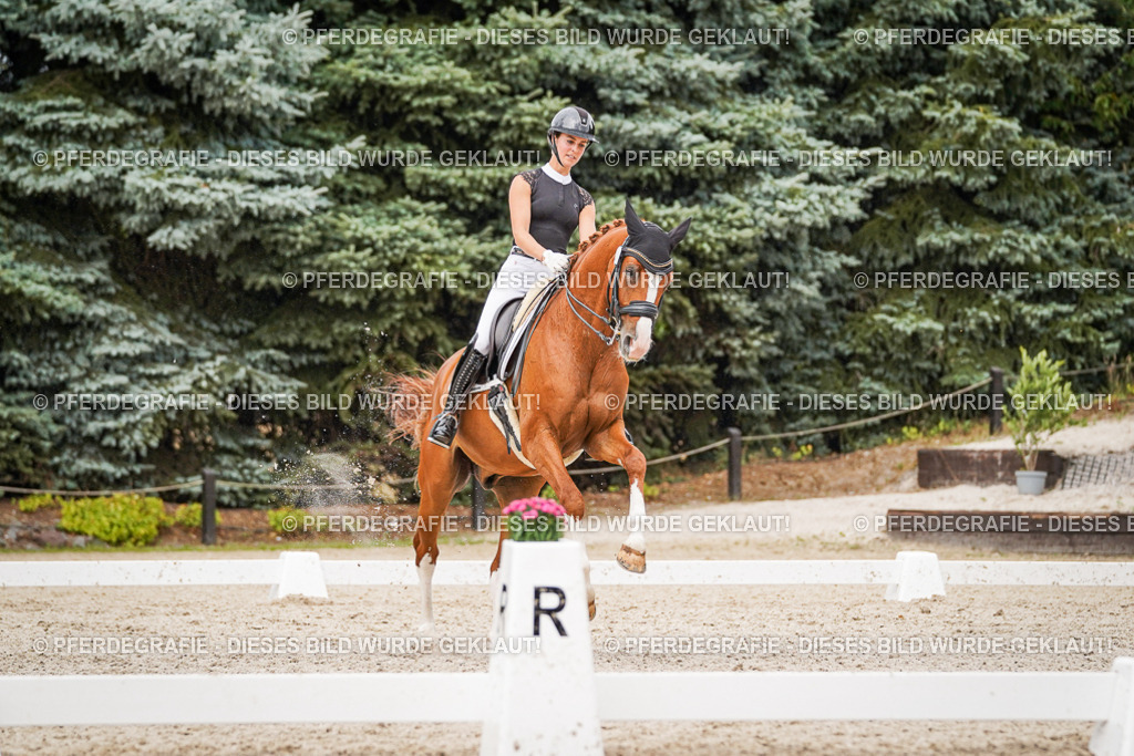 DSC07957 | Pferdegrafie