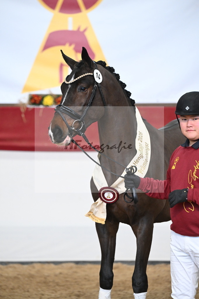 Kat.-Nr. 14 v. Cornet_s Balou (Balou du Reventon Z)_Keitel und Laue_3265234 | hf-fotografie - Realizzato con Pictrs.com