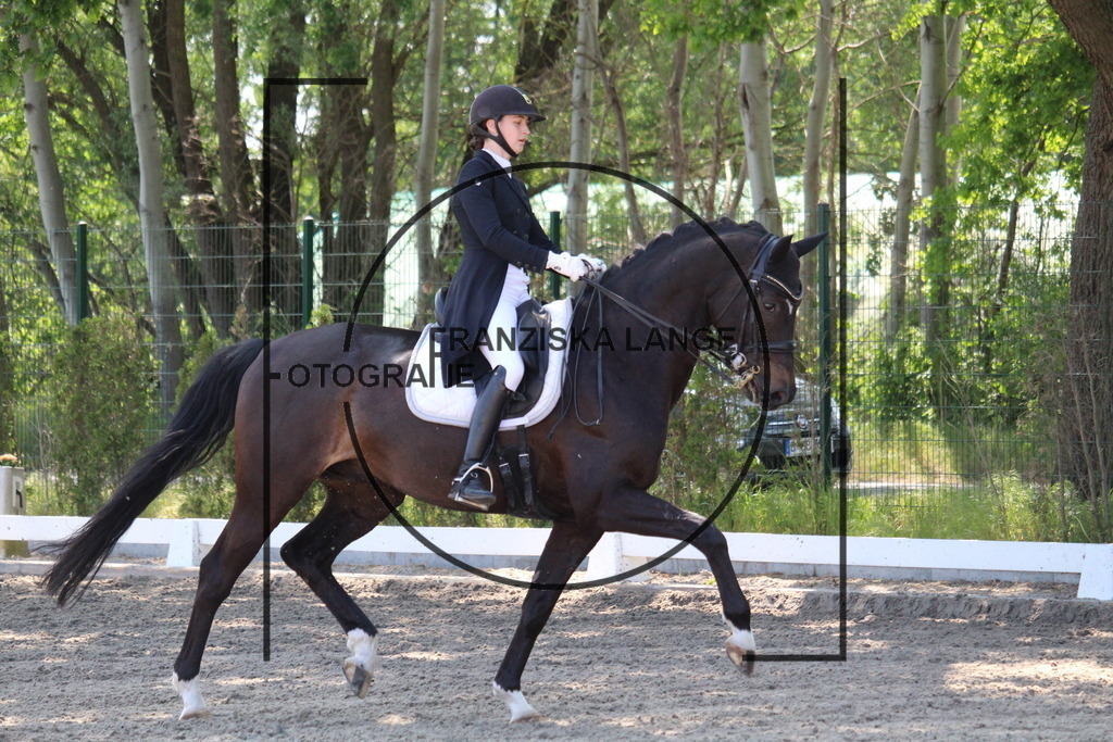 IMG_4670 | franziskalange - Realisiert mit Pictrs.com