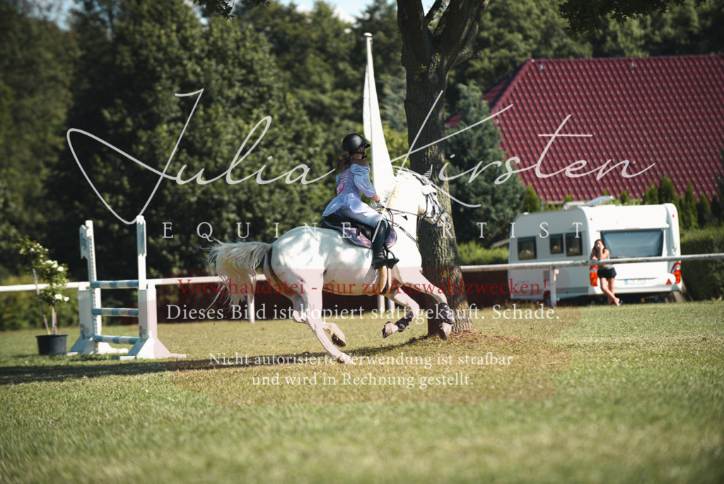 DSC_7557 | Pferde- und Turnierfotografie in Westsachsen. Pferdeportraits, Auftragszeichnungen und intuitive Kunst.