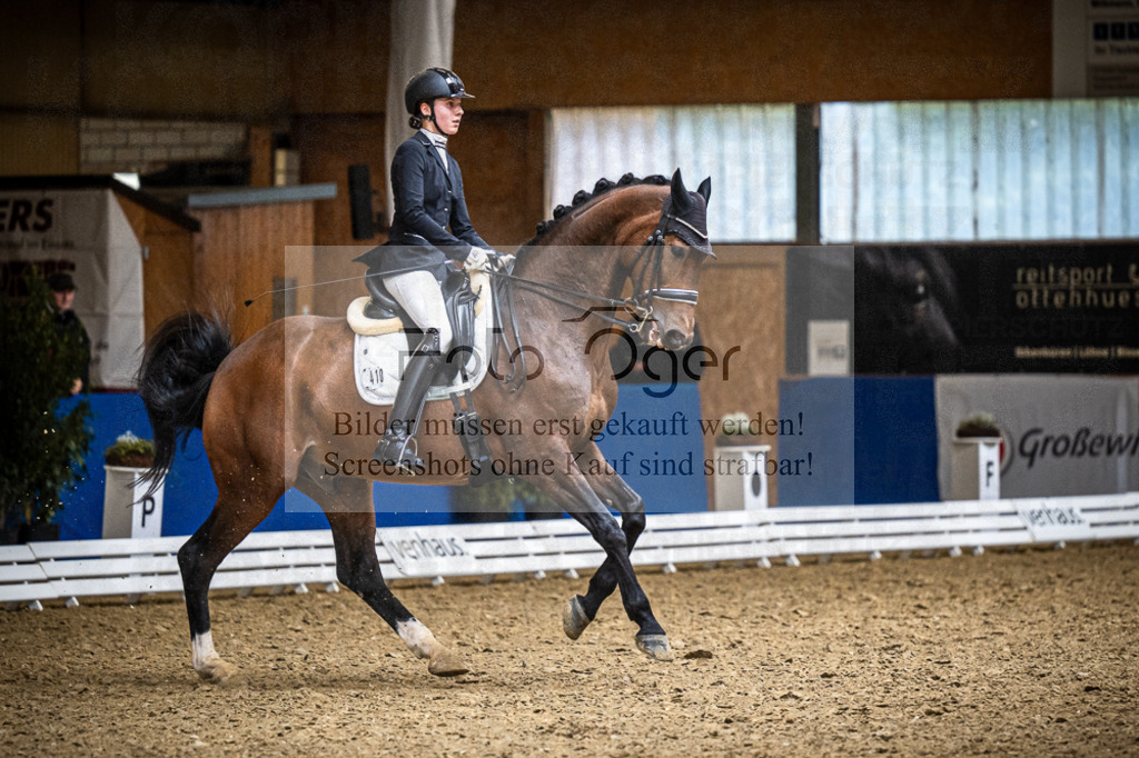 DOS_3611 | Entdecke hochwertige Reitturnierfotos von Foto Oger. Professionell, emotional und authentisch – jetzt Lieblingsmomente im Shop bestellen. - Realisiert mit Pictrs.com