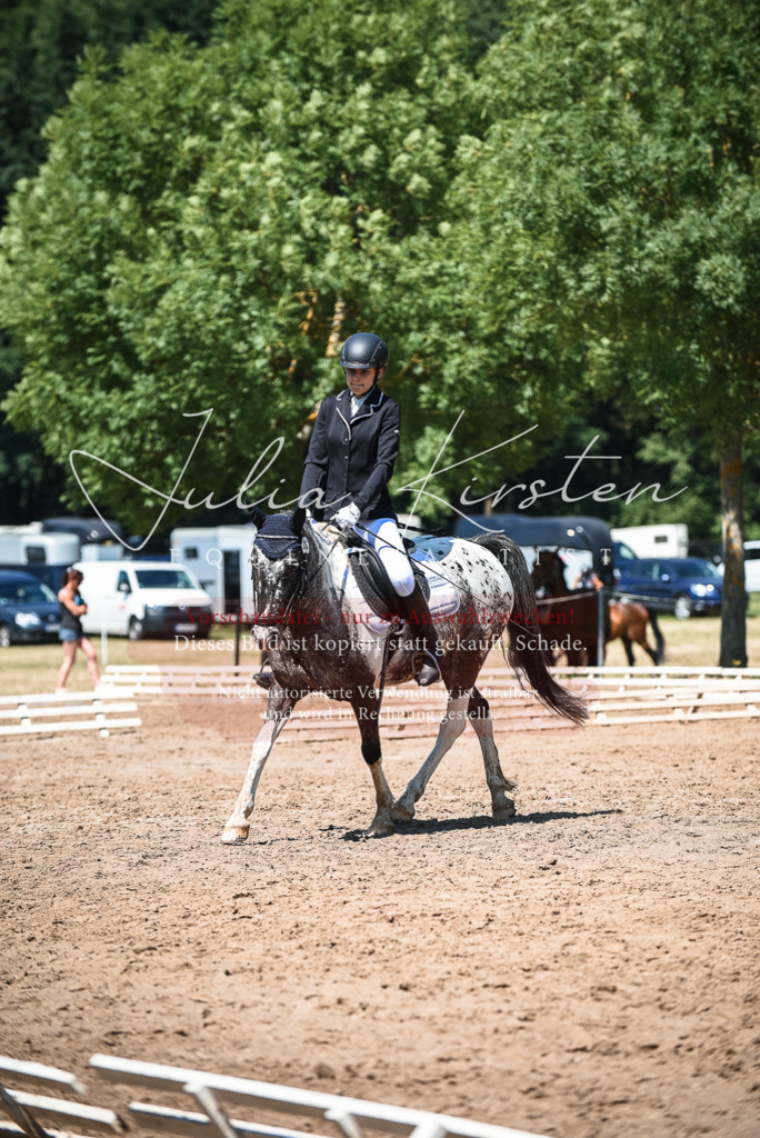 DSC_3206 | Pferde- und Turnierfotografie in Westsachsen. Pferdeportraits, Auftragszeichnungen und intuitive Kunst.