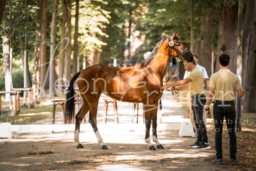 FrPfM00240 | Leoni Ertmer Photography - Realisiert mit Pictrs.com