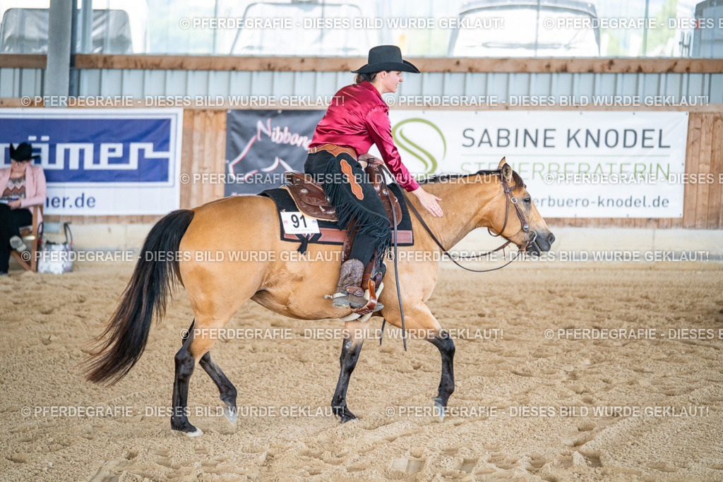 DSC03353 | Pferdegrafie