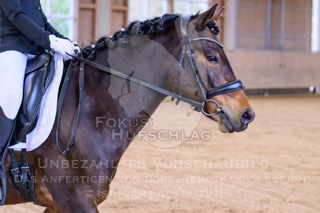 11042026-Mammendorf-Prfg25-0085 | Fokus Hufschlag Fotografie - Realisiert mit Pictrs.com