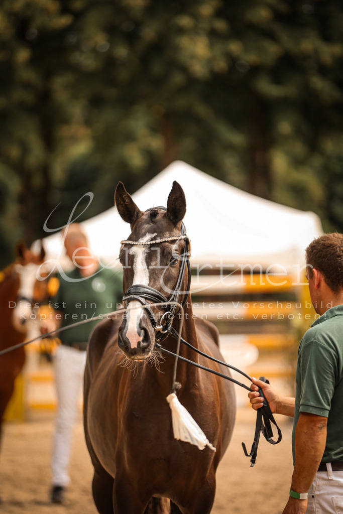 11.So00118 | Leoni Ertmer Photography - Realisiert mit Pictrs.com